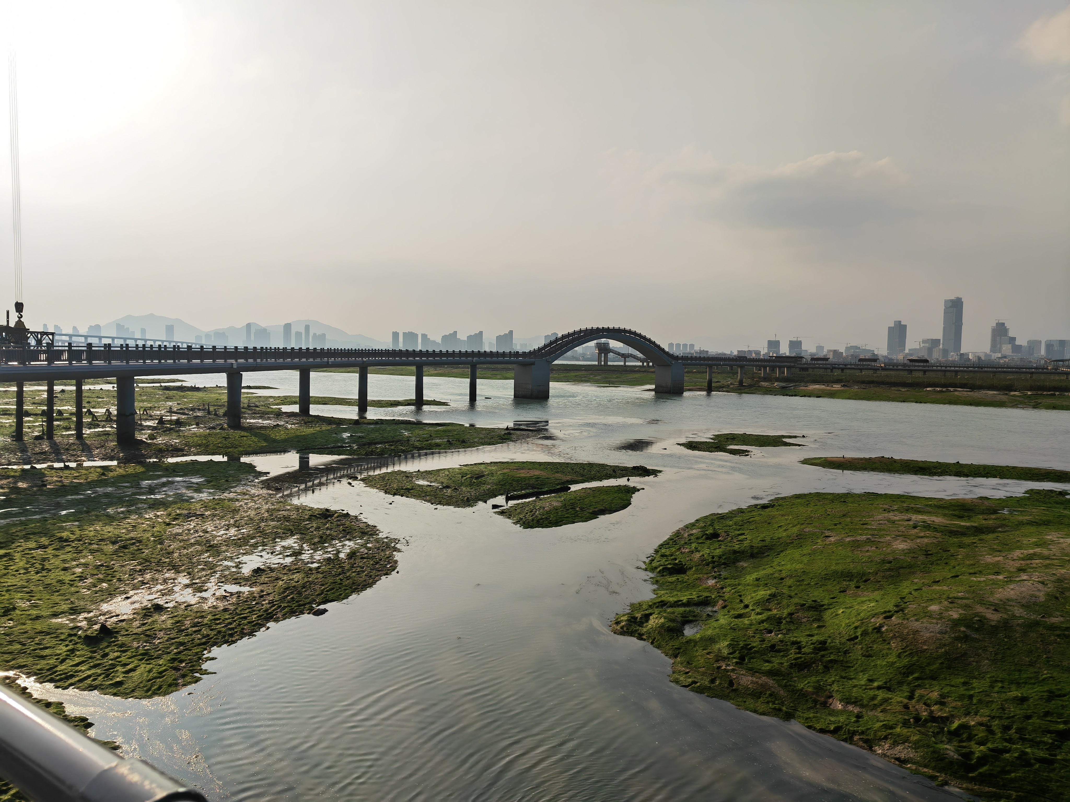 厦门下潭尾湿地公园网红打卡地,厦门下潭尾红树林公园里有些什么