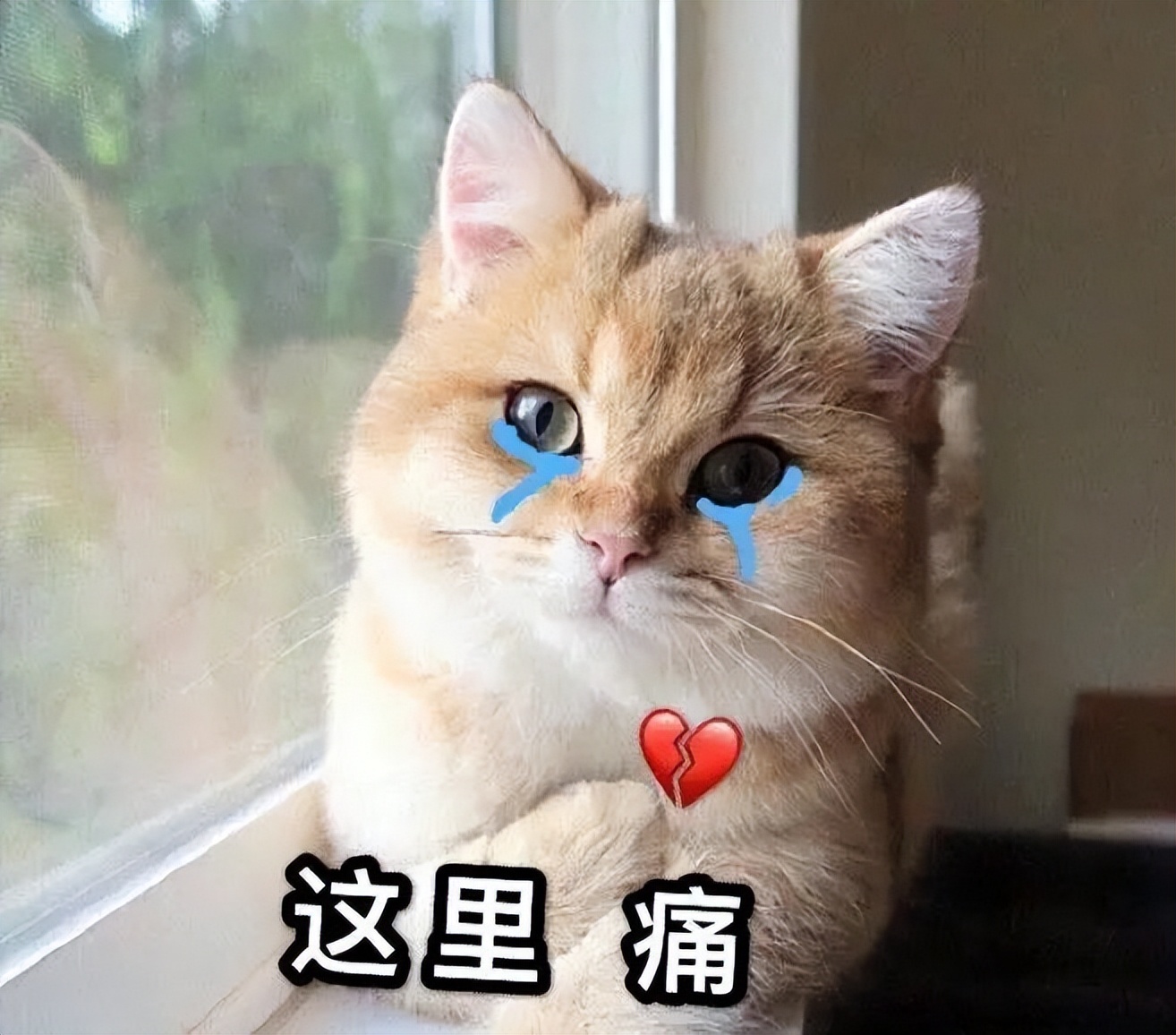 20万开店日营业额仅79元创业失败,20万投资实体店生意惨淡