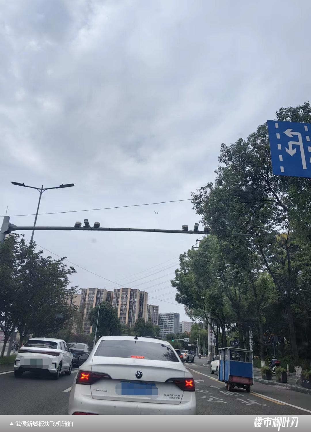 成都武侯新城板块,成都主城区板块分析最新