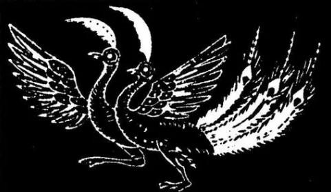 眼睛桃花眼丹凤眼分类,丹凤眼是怎么样的图片