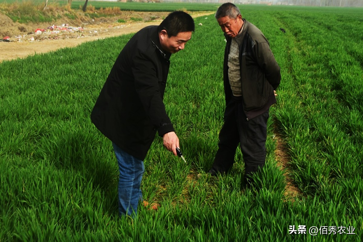 噻虫嗪含量和价格,噻虫嗪是第几代杀虫剂