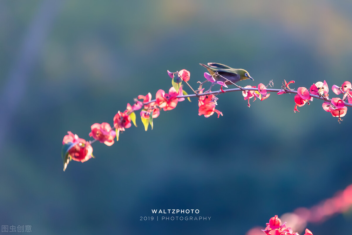 27岁的我孤身一人,29岁做好了孤独终老的准备