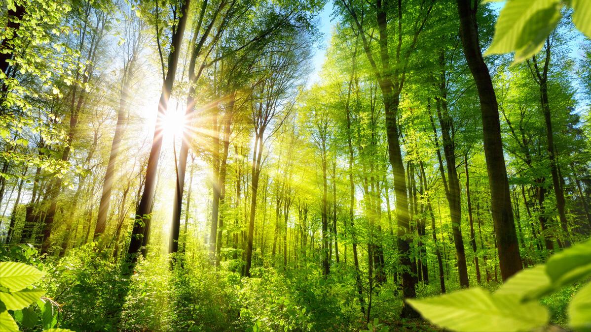 甲减，总是乏力、经量少？一张方温振肾阳，滋补阴血，化解不适