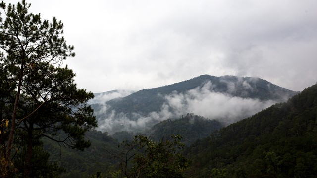 我是如何在股市中亏10万的,我是如何从股市上赚200万