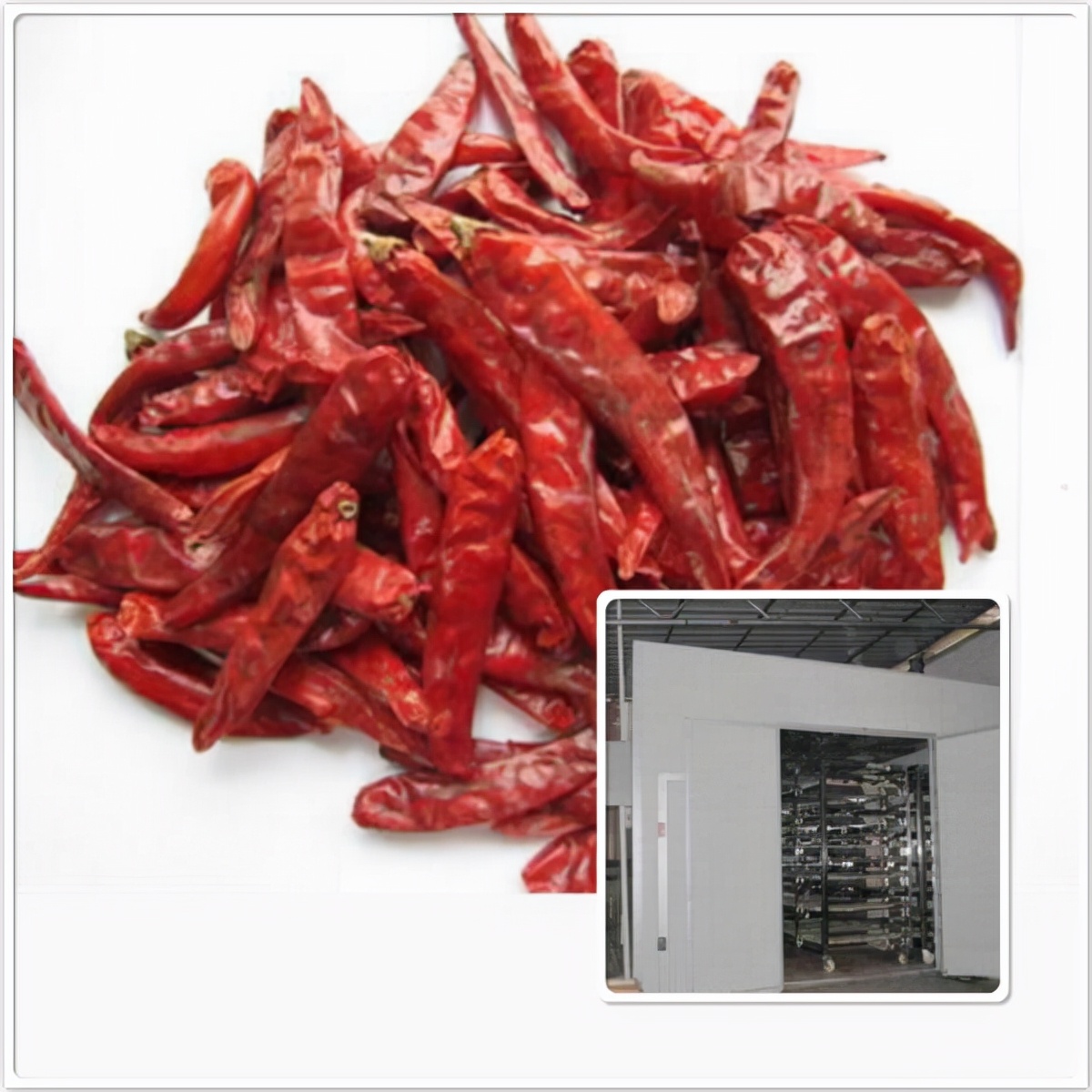 一套大型辣椒烘干设备需要多少钱,辣椒烘干设备全自动