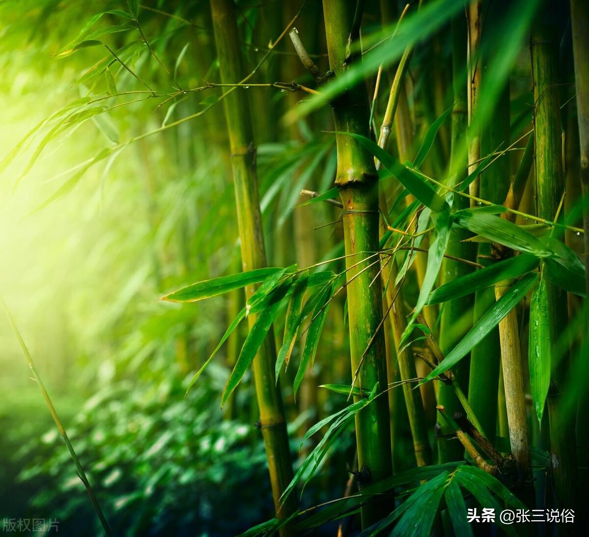 2023年几月几日入伏三伏共多少天,2023年三伏是几号到几号