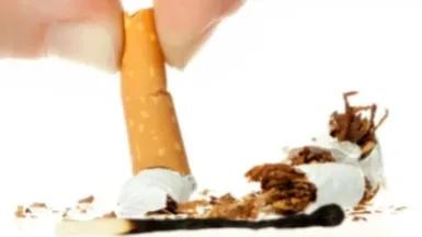 香烟与酒凯子与狗,香烟与美人