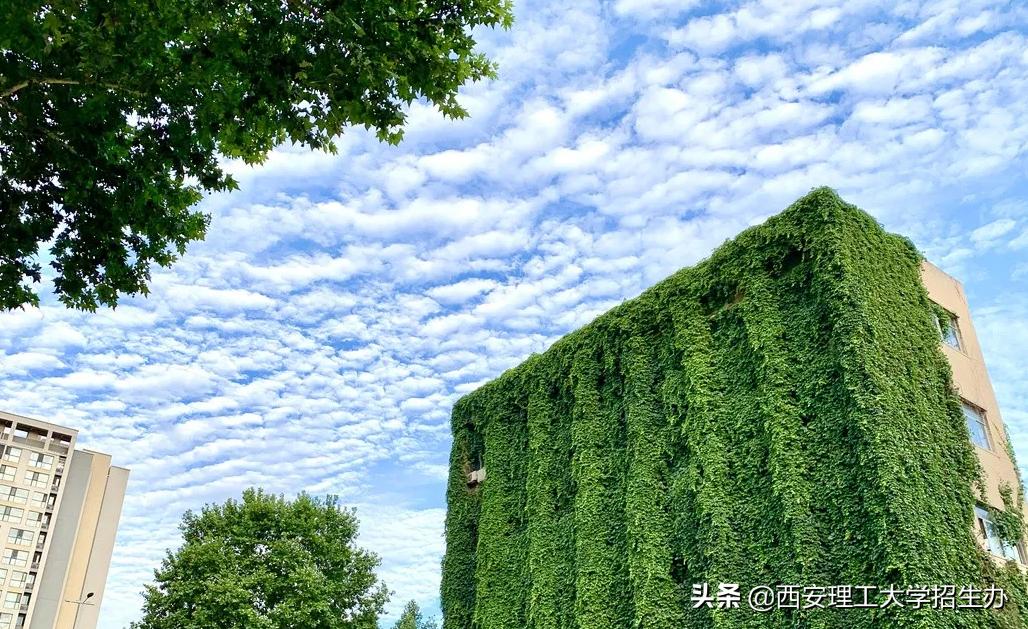 高校绿色学校创建工作总结,绿色学校创建行动方案四川高校