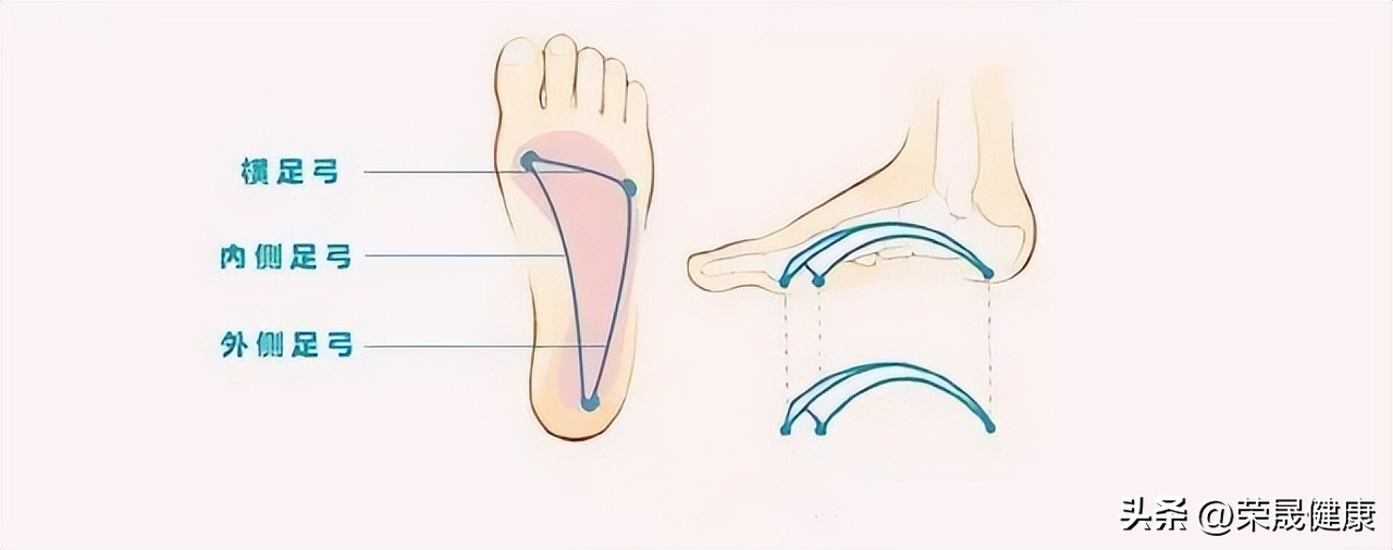 不想成为“唐老鸭”，这些在家就能做的平足练习一定要学起来！