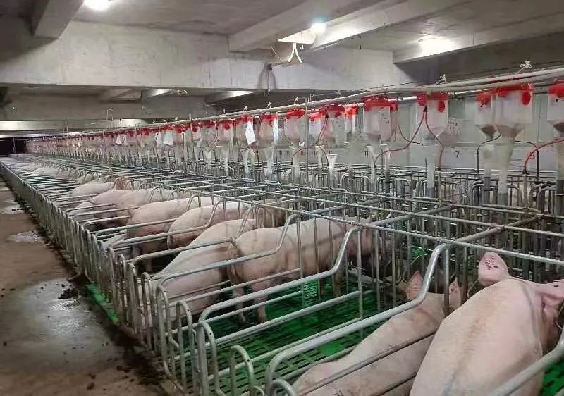 春夏农业生产,一季度各地全力抓好春季农业生产