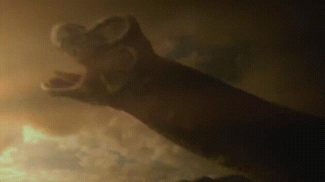 液体猫是真的吗,为什么都说猫咪是液体猫