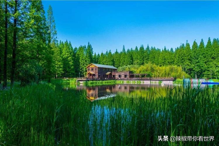 盐城最大的海边城市,盐城海岸线为何一直延伸