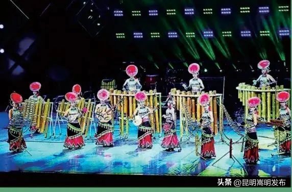 花博会云南,花博会来了