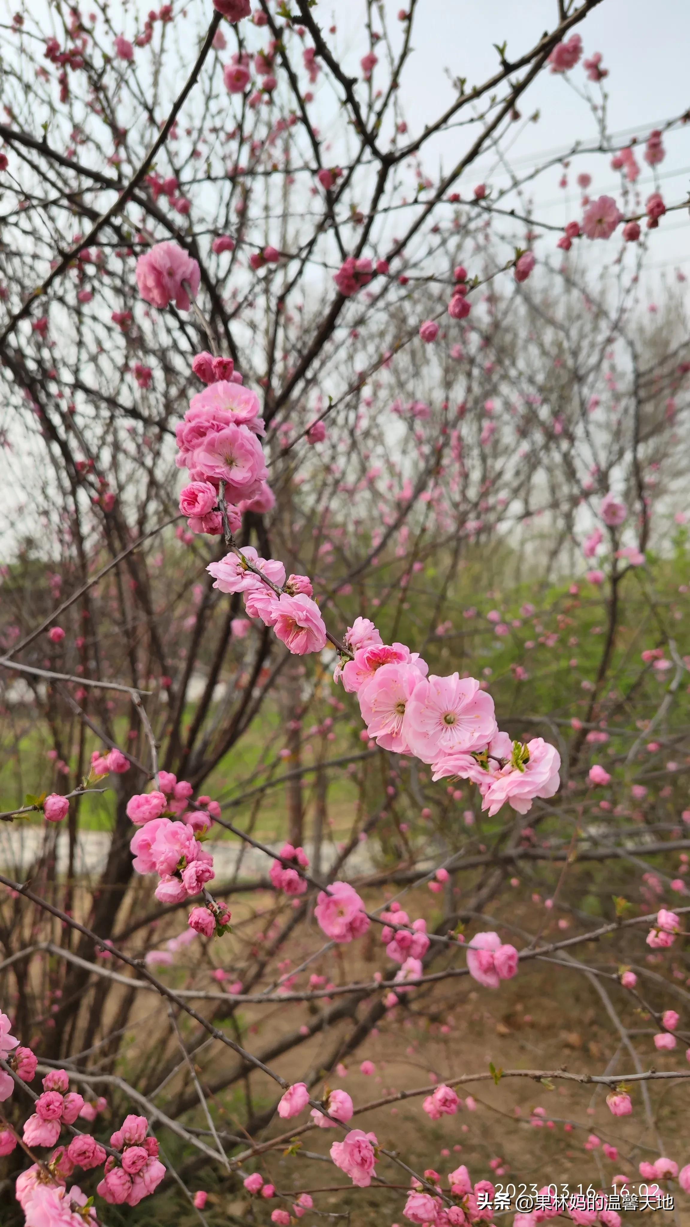 鼻腔有异物可以看急诊吗,晚上鼻腔异物看急诊