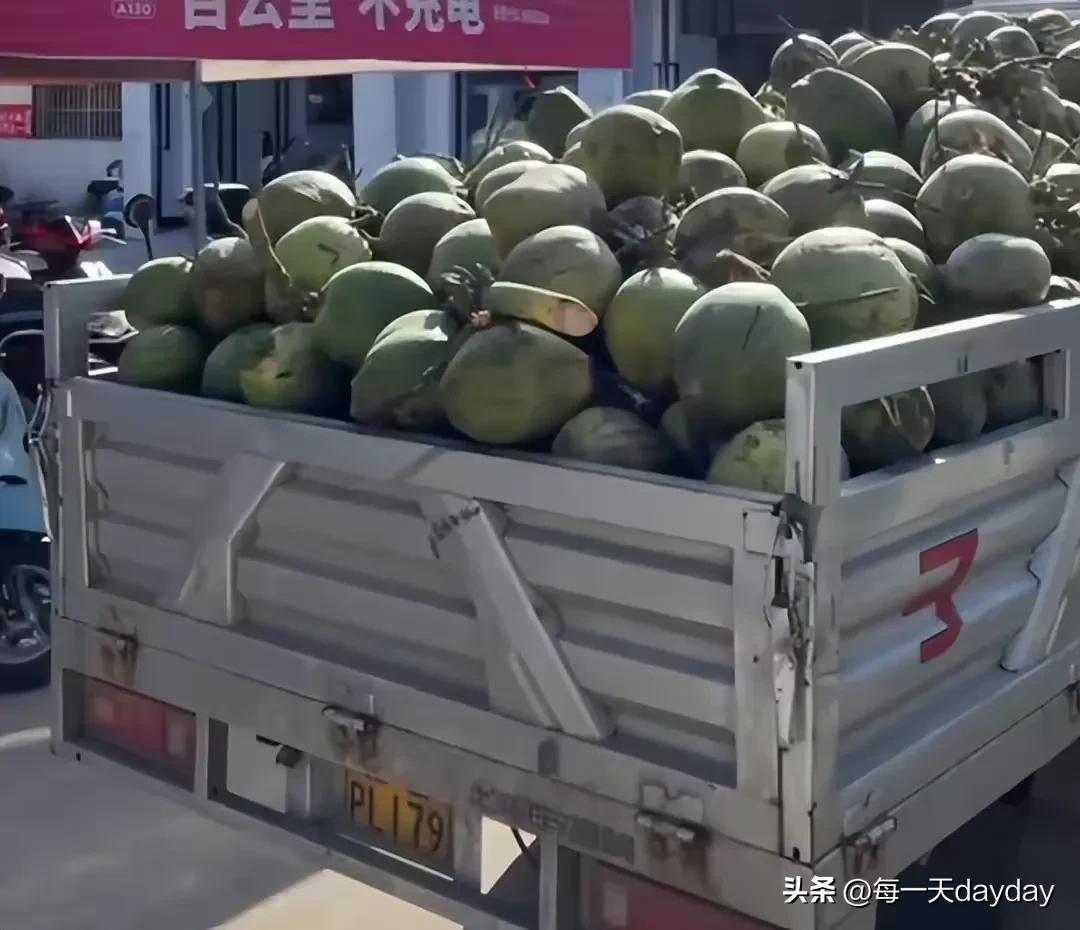 女子怀孕父亲买一车椰子,女子怀孕男子拿50万