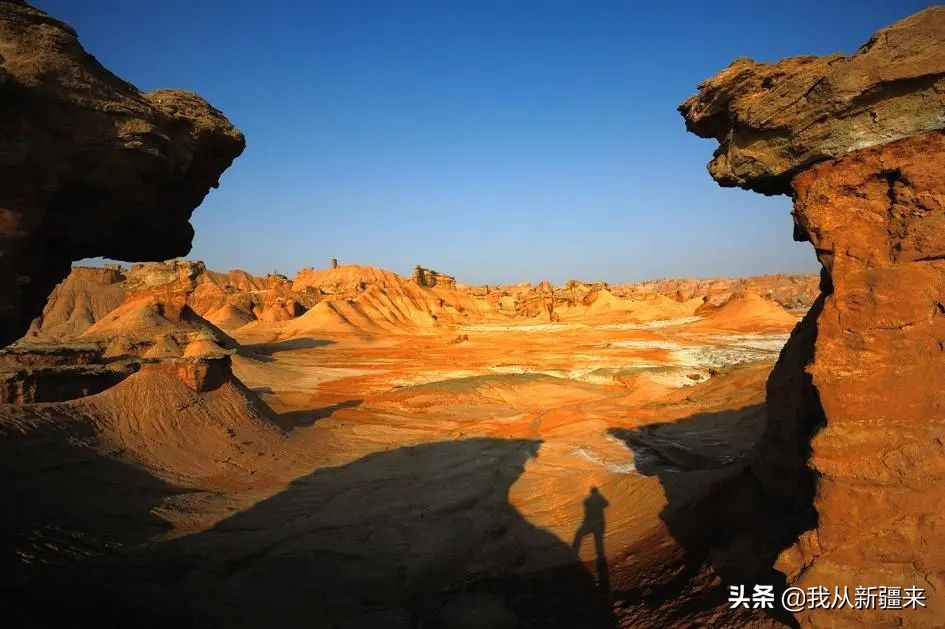 omg眼影青蓝紫 (omg眼影)