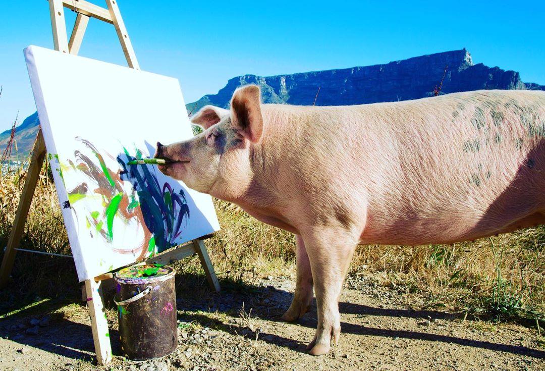 不要不相信，画了十年，或许还不如一头猪