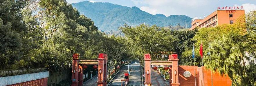 浅谈川外,川外男女比例