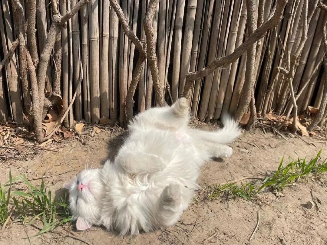 赵明明：上班摸鱼，是我的梦想!