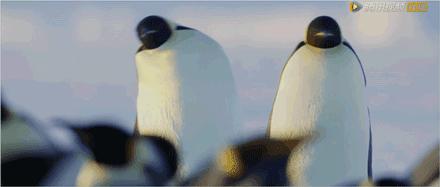 带你真切看人间的宝藏纪录片top10,十一长假适合带孩子看的纪录片