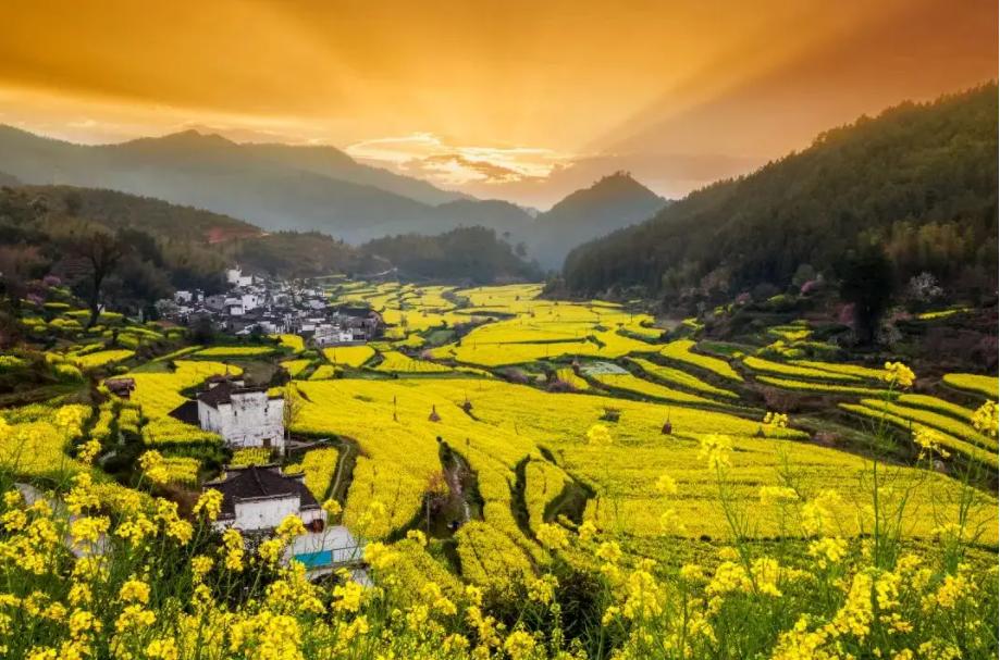 春日正好莫负春光,春日诗集大赏