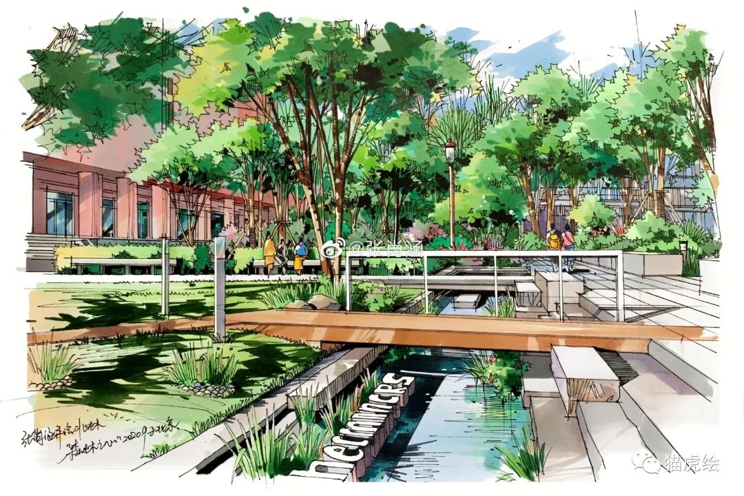 2022猫虎绘暑假手绘班招生简章「线上+线下」