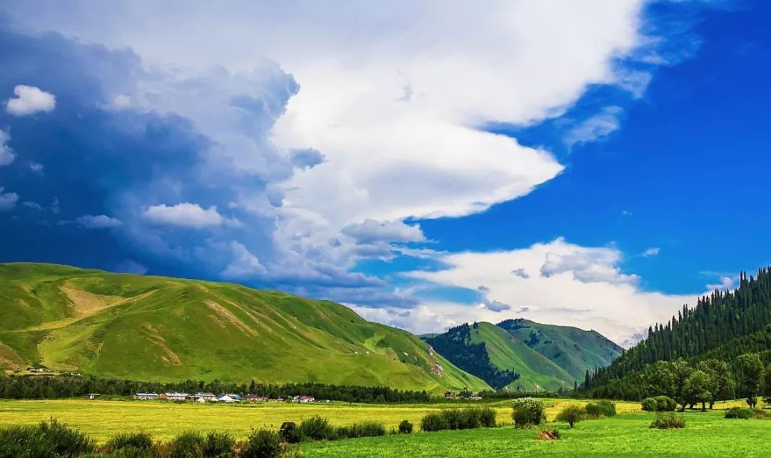 火了！新源又火了！全国瞩目，未来发展不可估量！为你的家乡比心