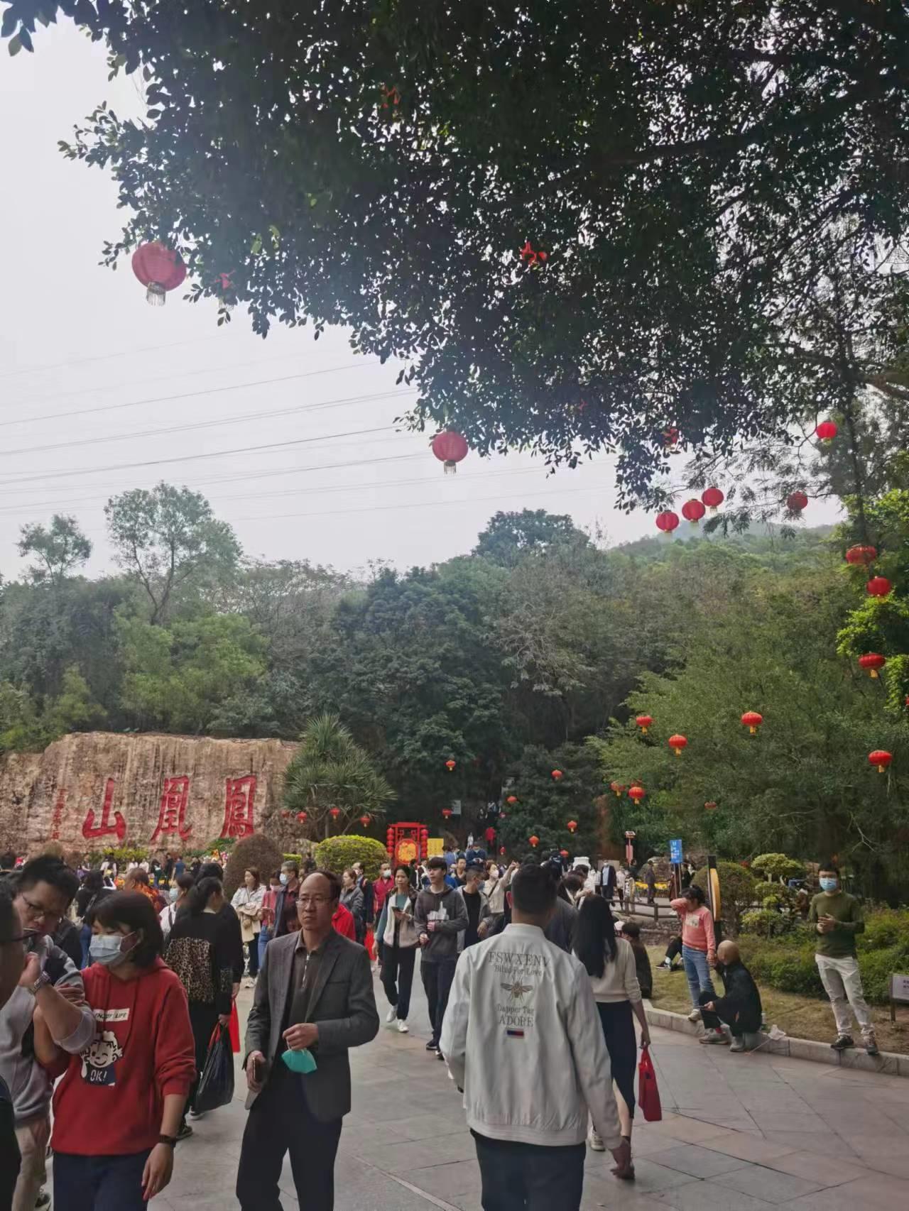 去过深圳凤凰山的人,深圳凤凰山为什么叫凤凰山