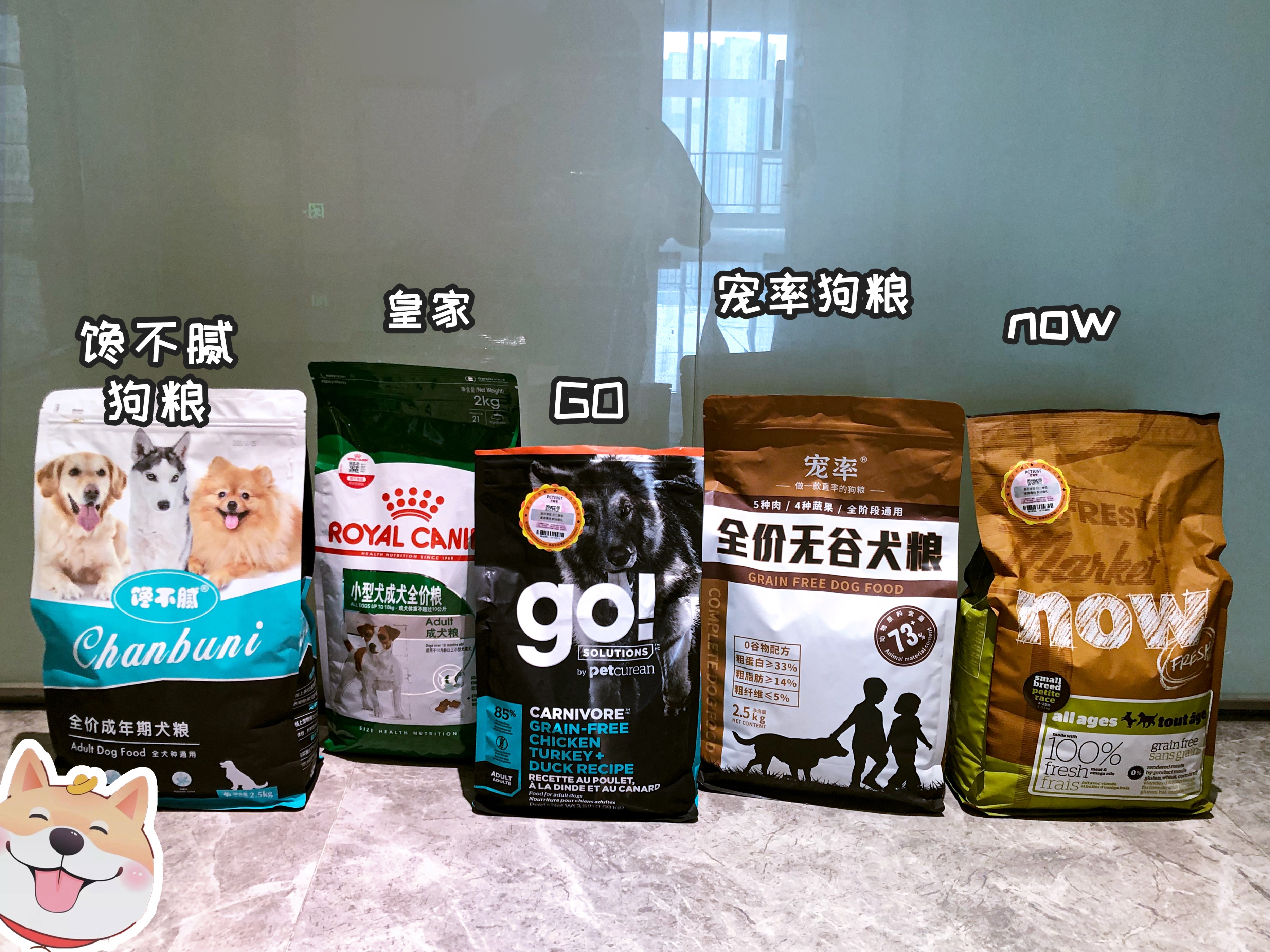 狗狗老是扒拉我怎么回事,狗狗用手老是扒拉主人啥意思