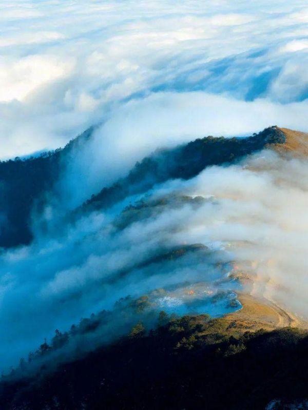 中科院微生物研究所白逢彦,中科院微生物研究所食用菌种