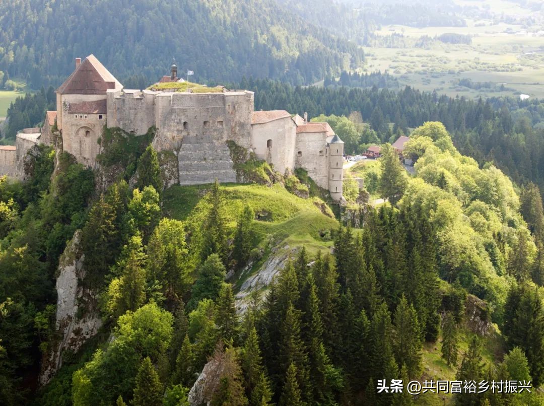以数字经济助力乡村产业振兴案例,基层党建引领乡村振兴主要案例