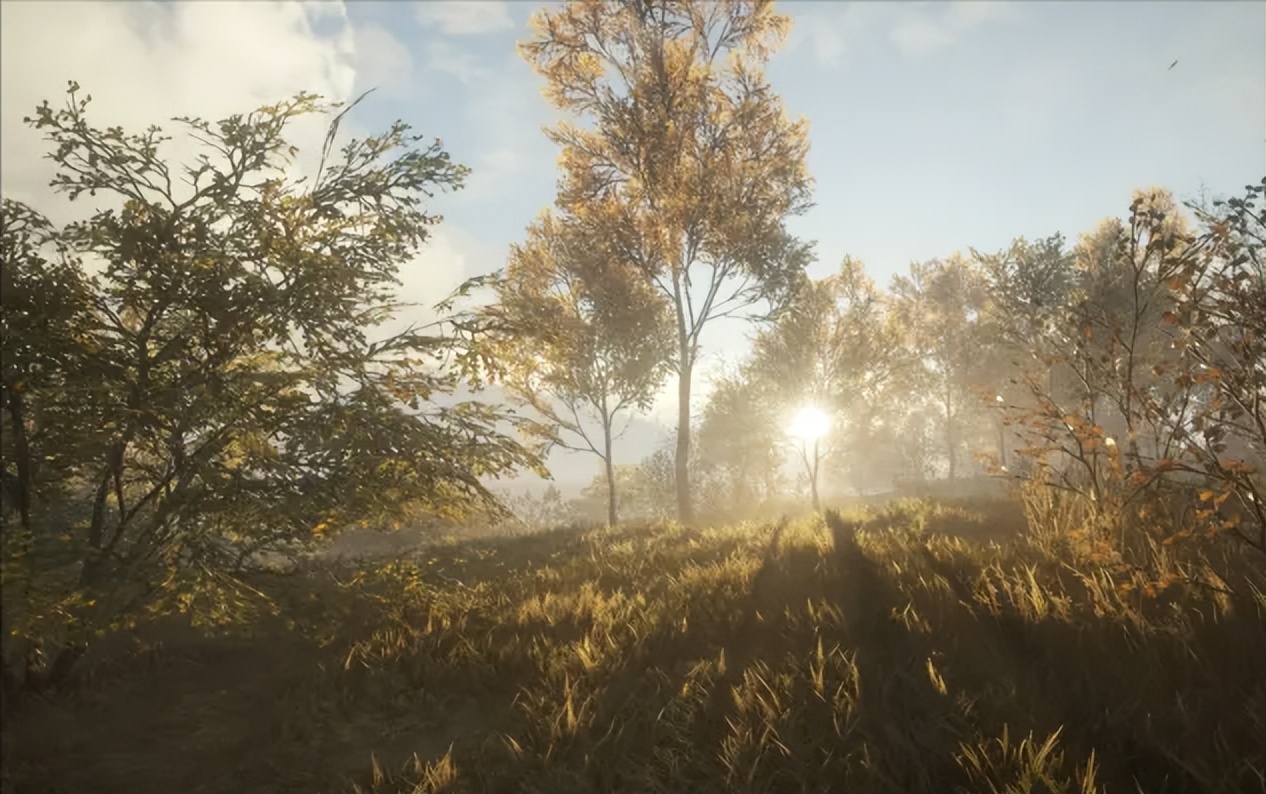 猎人：野性的呼唤/猎人：荒野的呼唤/theHunter:CalloftheWild