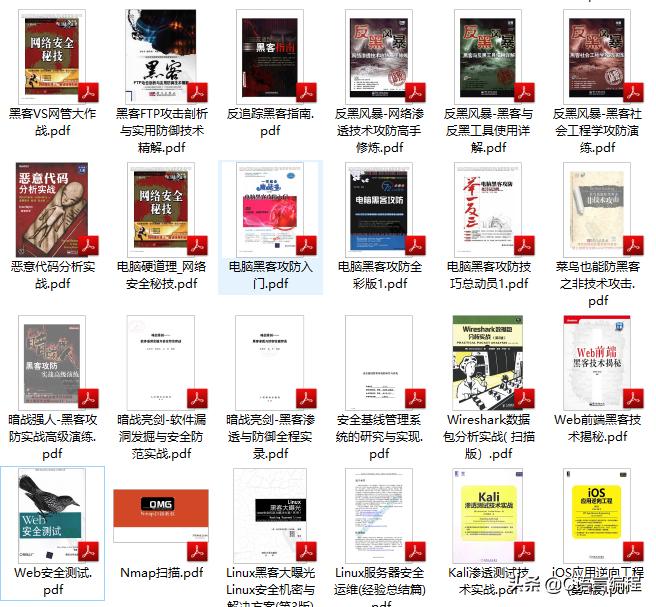 合租学妹傍晚求问：有什么编程网站能让她偷偷变强？离谱