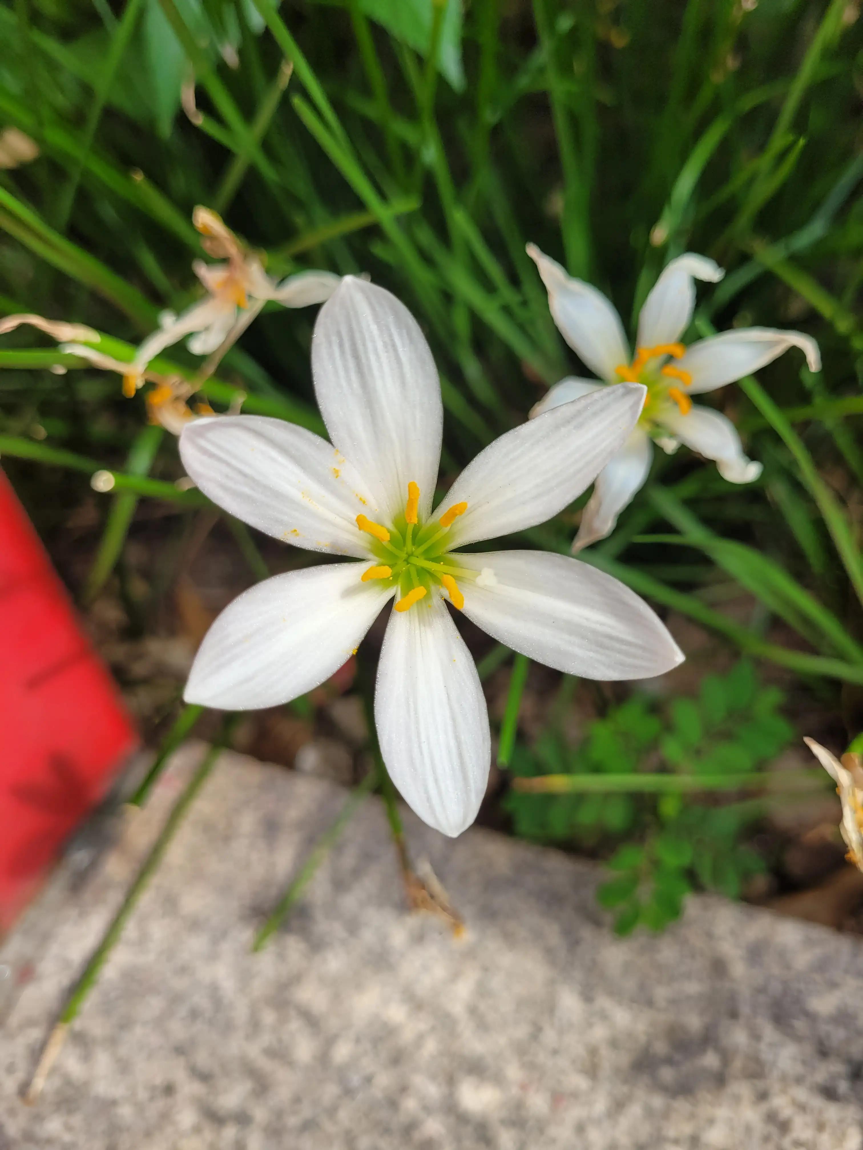 大宝多动症在深圳的就医历程