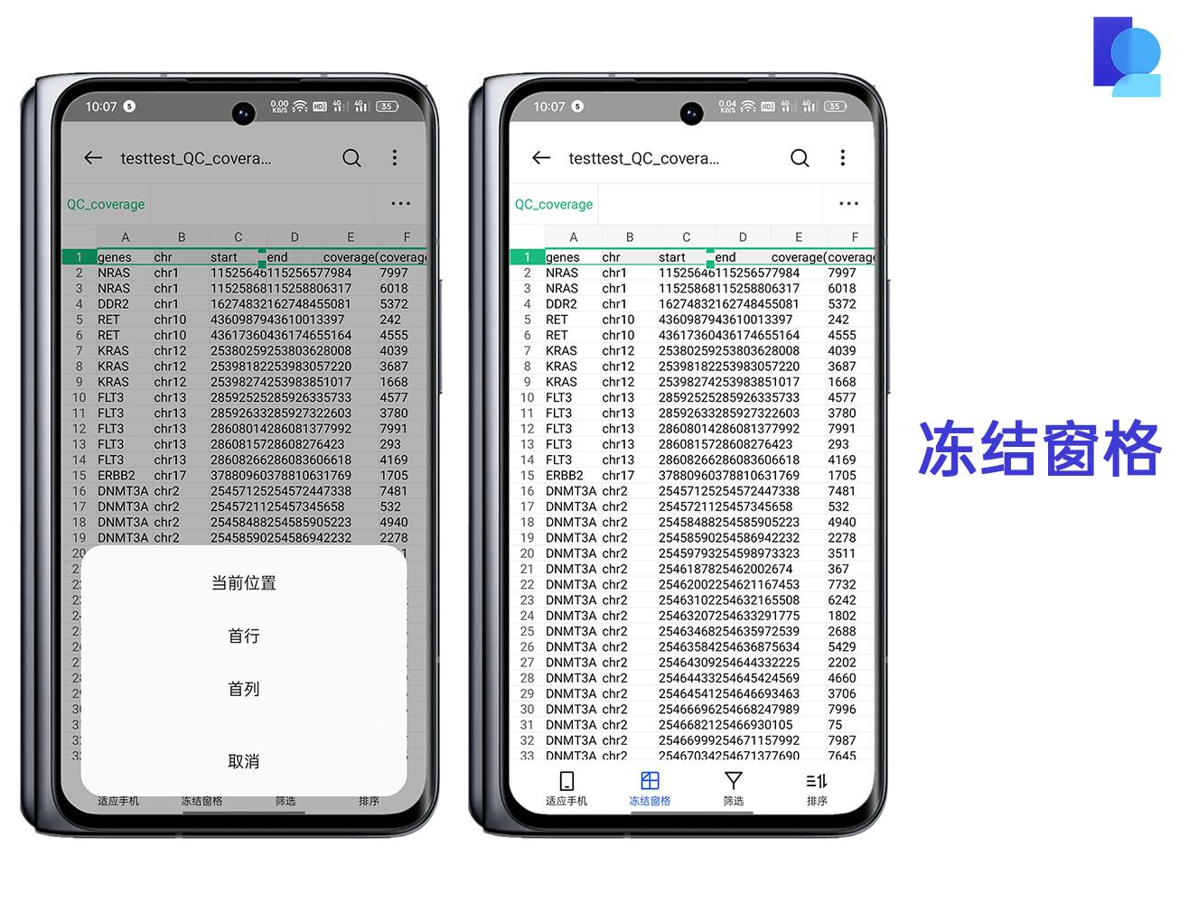「ColorOS12体验」手机快速预览文档，工作时刻在线
