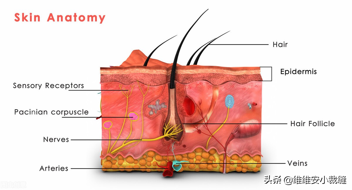 精华肌底液和精华液如何使用,精华液和精华肌底液怎么用