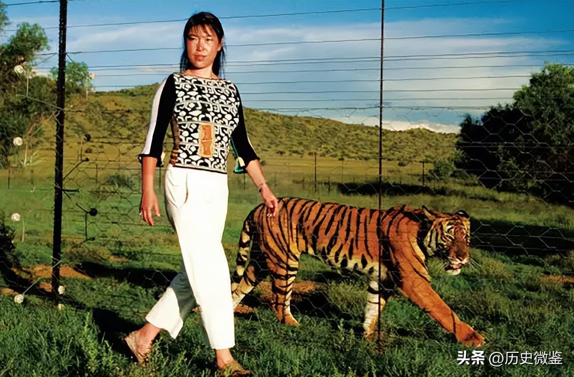 中国将5只华南虎放到非洲草原，繁衍15只后，为何迟迟不回中国