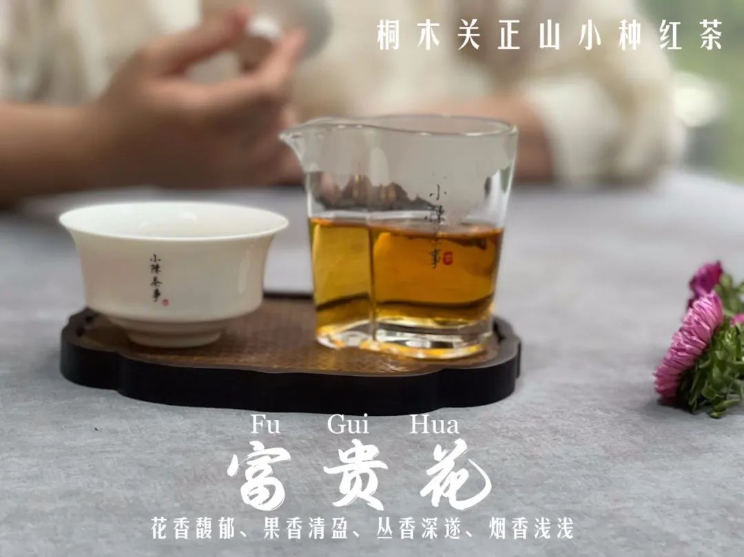 大红袍是什么茶铁观音茶是绿茶吗,大红袍属于什么茶是绿茶还是红茶