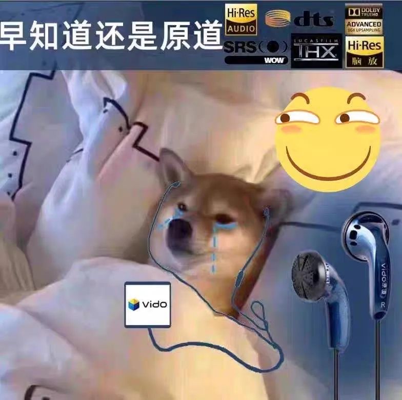 9.9的原道和20块的原道音质一样吗,原道9.9耳机音质真的好吗