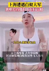 白蚁中哪种白蚁最凶猛,白蚁真的无什么办法全部消灭吗