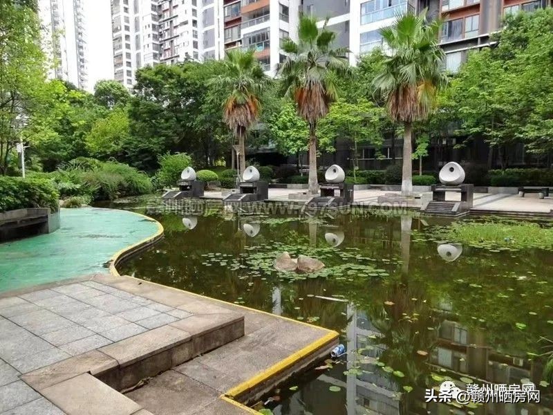 赣州房子天花板,赣州小区天花板