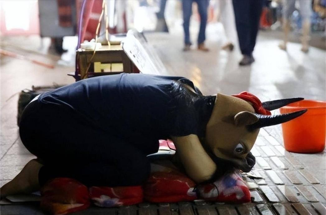 女孩街头扮牛乞讨救父是哪里的,15岁少女街头扮牛救父怎样感叹