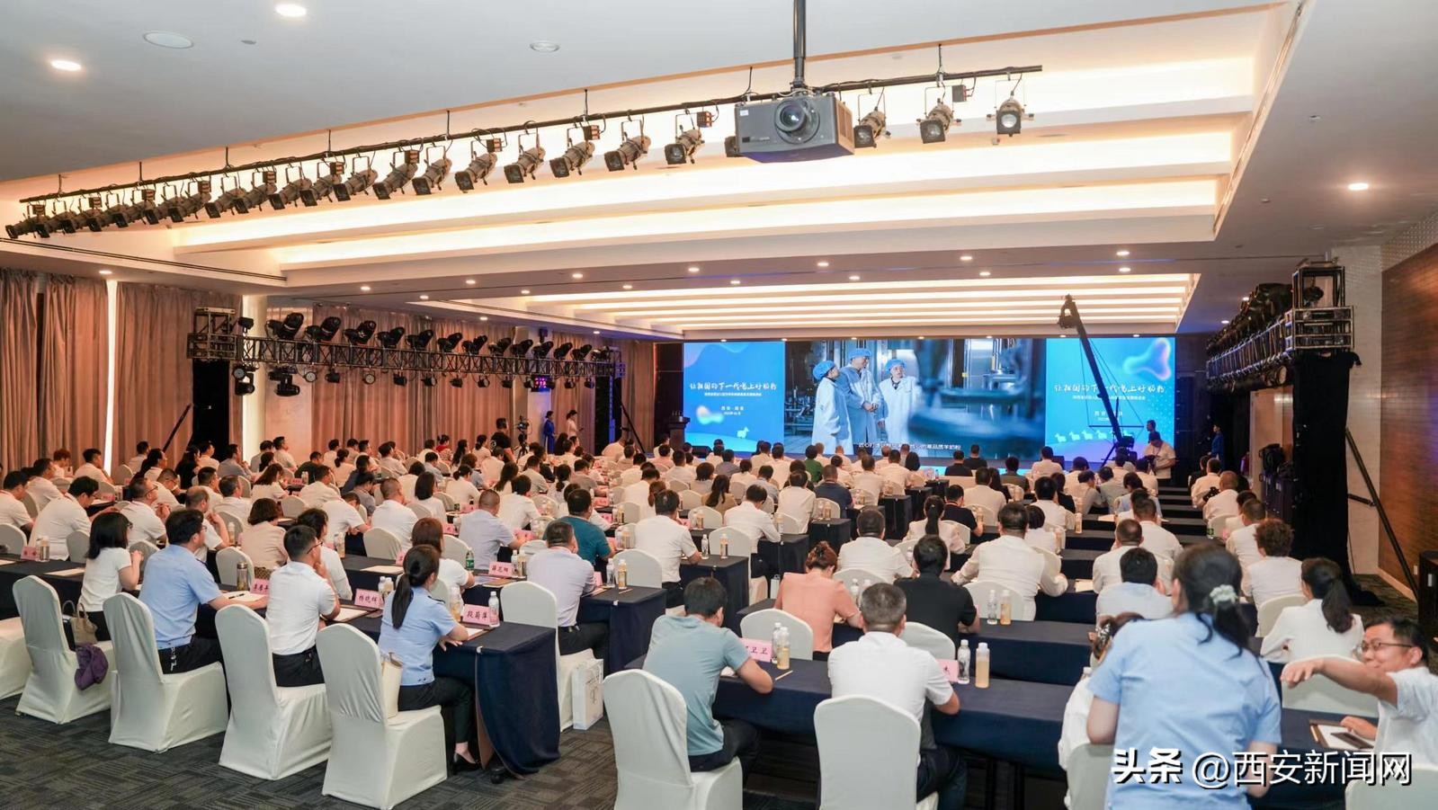 陕西羊奶粉前景,陕西羊奶粉发展前景