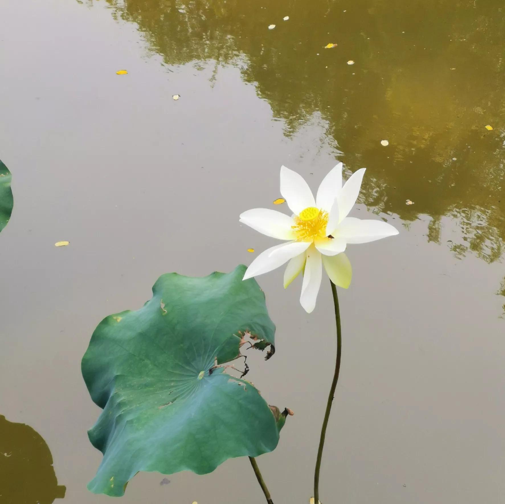 相亲男第一次见面就搂女方肩膀,相亲男第一次见面就聊接吻的话题