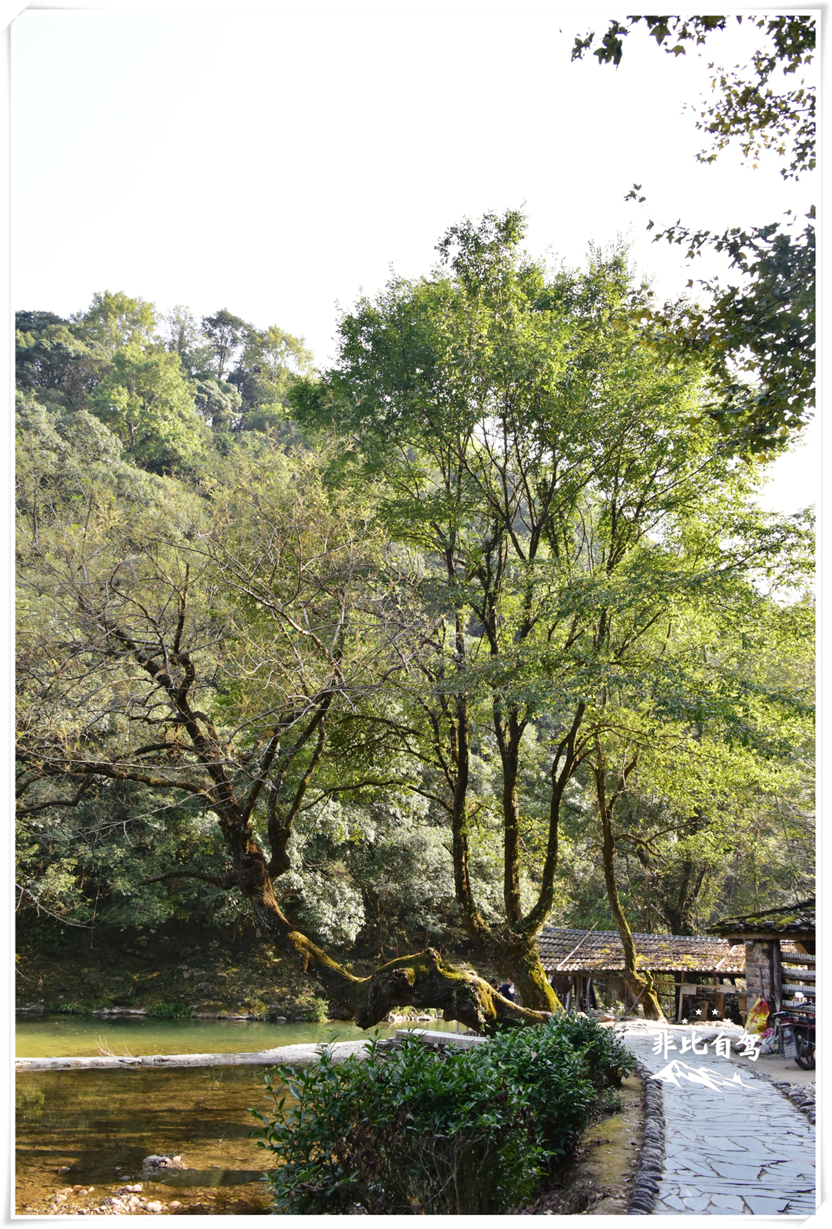 景德镇古镇婺源,被誉为瓷都的景德镇婺源