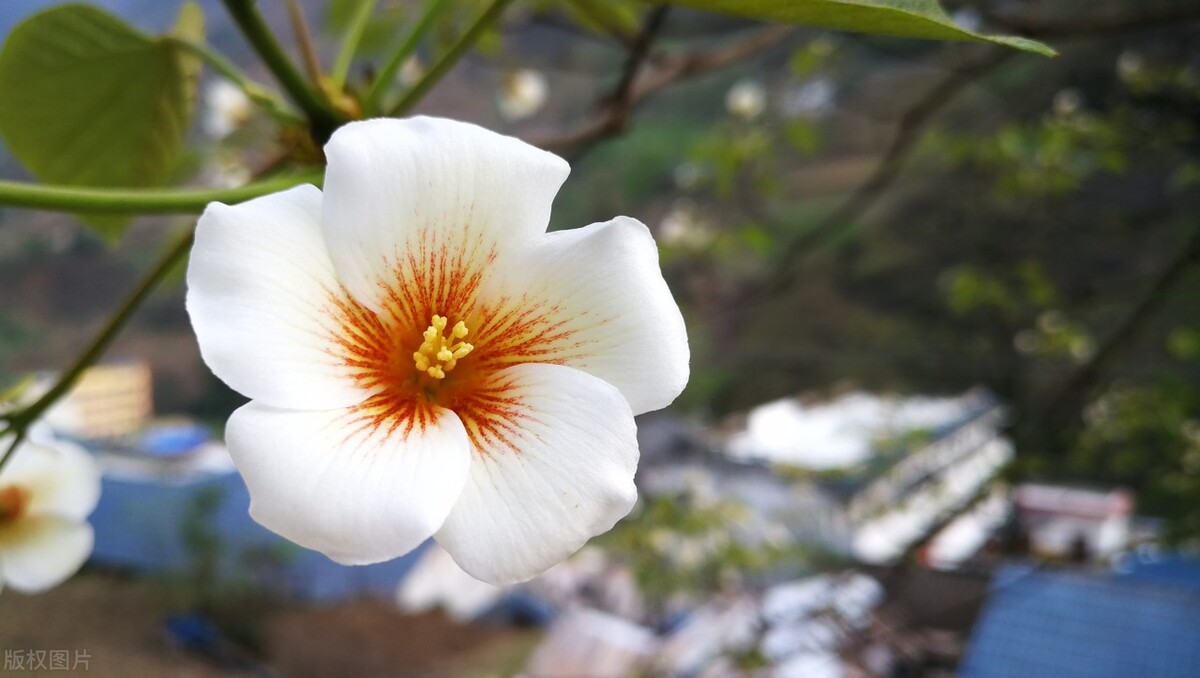 一个人穿鞋子能看出什么,从一个人的鞋子可以看出什么