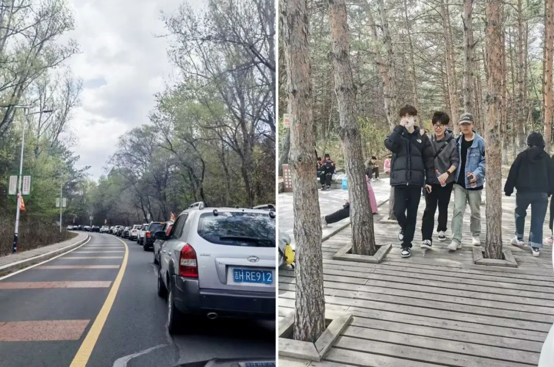 延吉旅游带什么特色小吃回家,延吉旅游必带特产