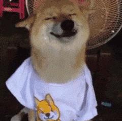 ZAKER石家庄早新闻 4.3 | 石家庄正太广场景观设计方案公示；新规落地，你的外卖“上锁”没；观花 这3条线路最佳