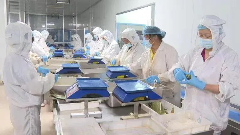 五个创新跑出乡村振兴加速度,快递跑出乡村振兴加速度