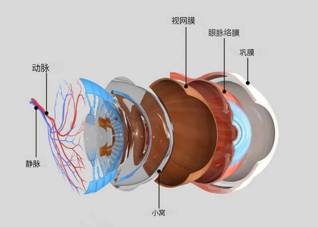 辣眼睛了怎么办,辣眼睛了怎么清洗